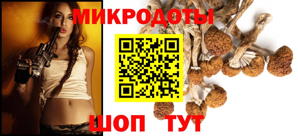 Татарск  Галлюциногенные грибы MAGIC MUSHROOMS  закладки  Вход с VPN 